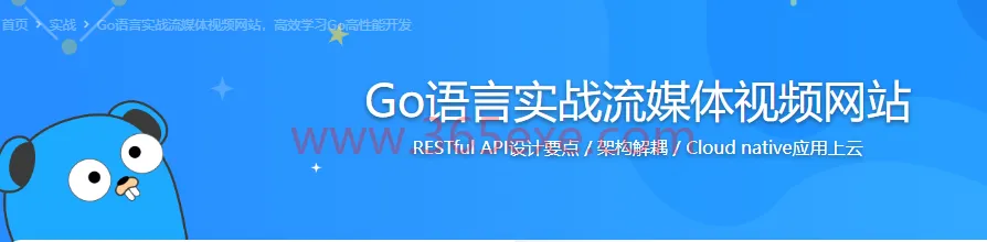 Go语言实战流媒体视频网站 (图1)