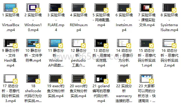 最新恶意代码分析实战教程完整版 (图2)
