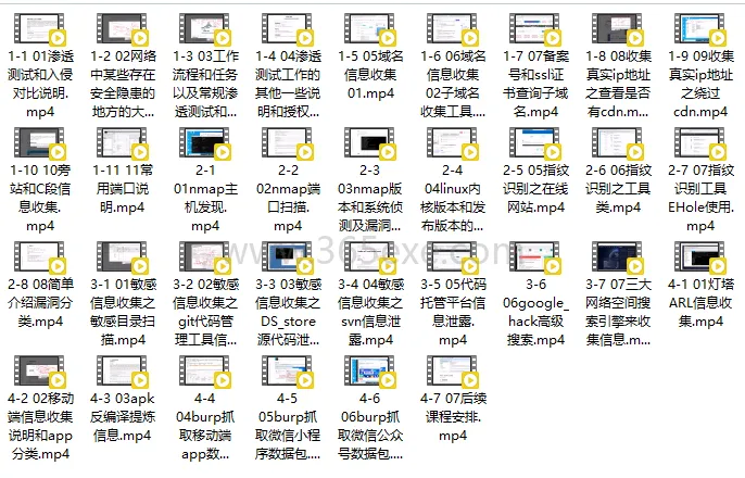 最新实战攻略：网络安全信息收集完整版教程 (图1)
